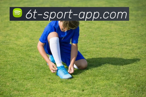 6T体育APP 封面图